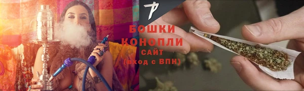 прущие крисы Белокуриха