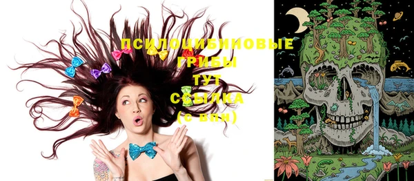 прущие крисы Белокуриха