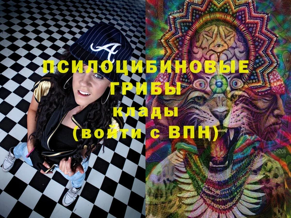 прущие крисы Белокуриха