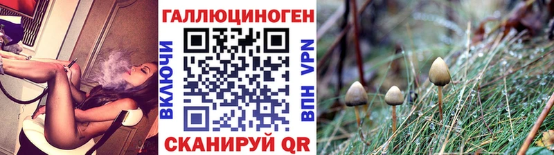Купить закладки  Новоалександровск  Псилоцибиновые грибы ЛСД 