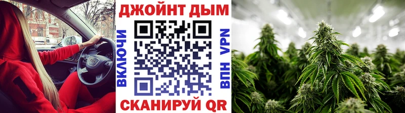 Купить закладки  Новоалександровск  Канабис план 